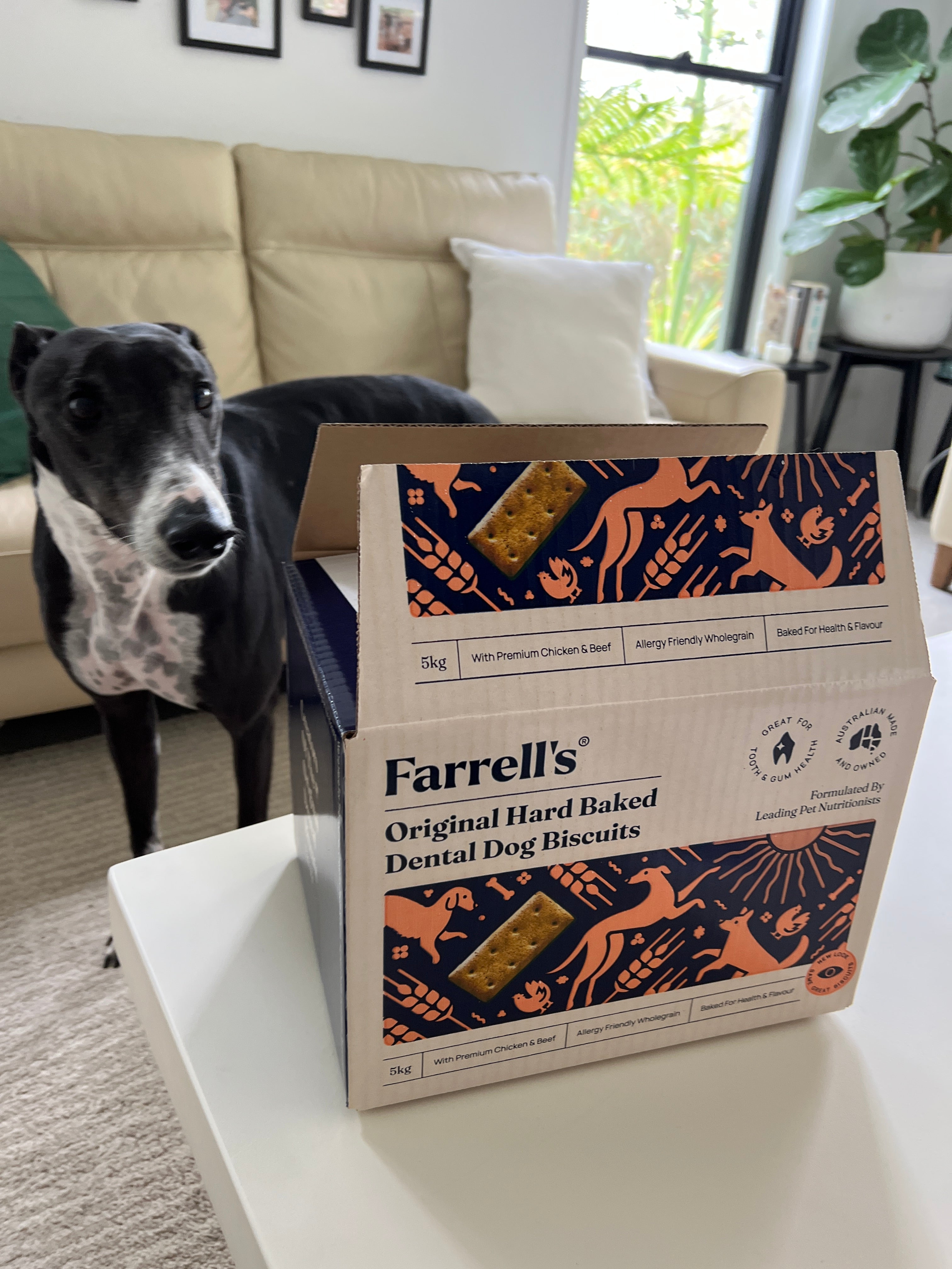A Tradition in Greyhound Food and Nutrition