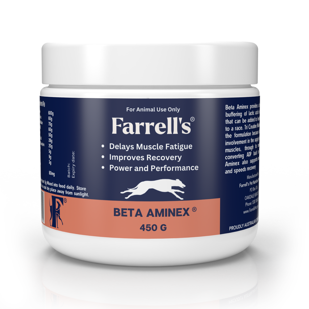 Beta Aminex 450g