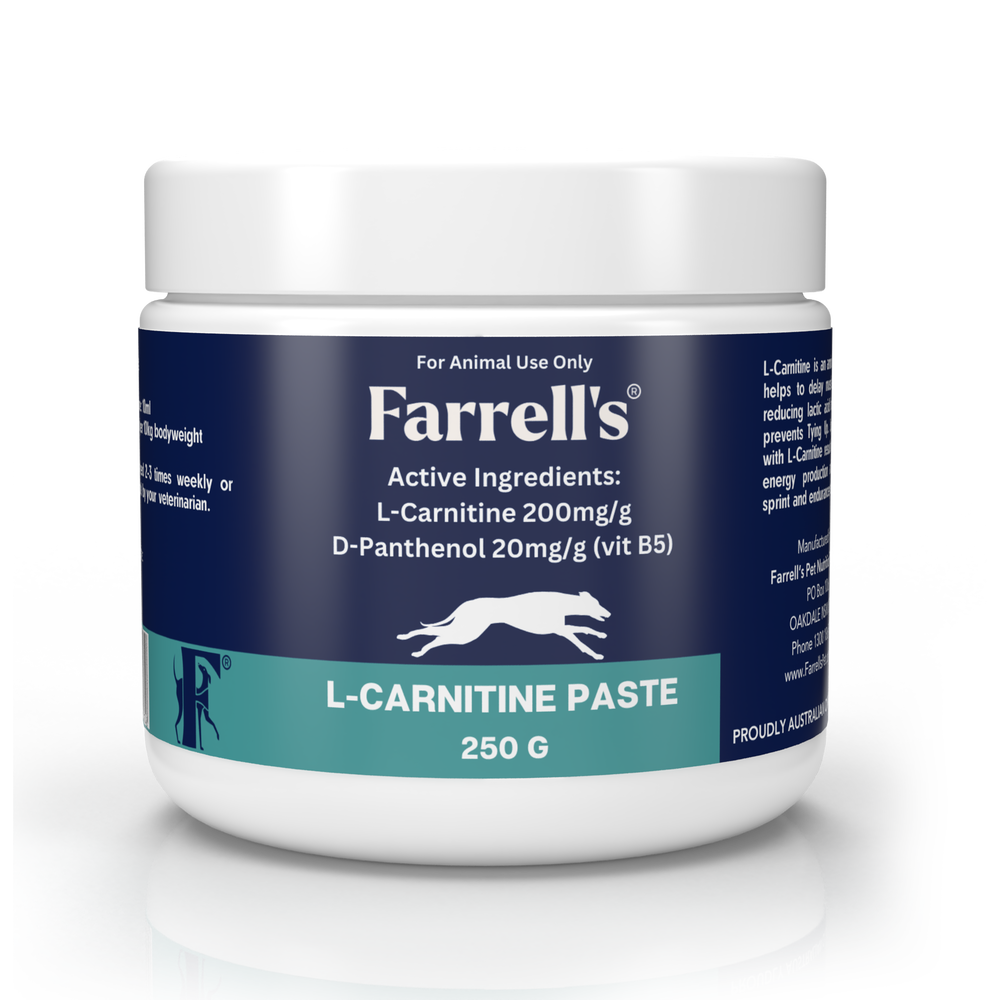 4x2 sales dog biscuits